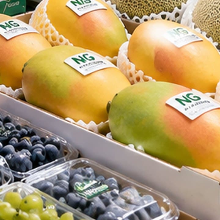 Vườn xoài NG Mỹ Xương